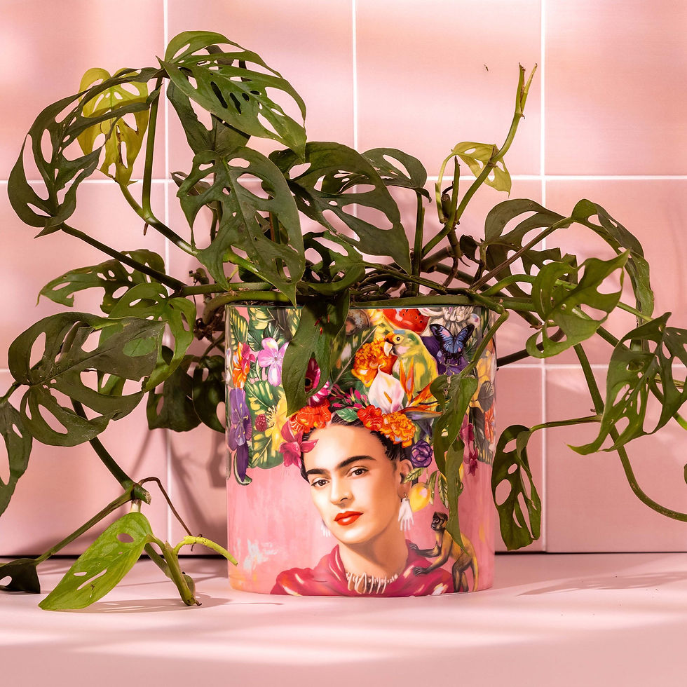 Thumbnail: Pot Planter Mexican Dream / Set of 3