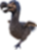 Dodô