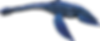 Plesiosaur