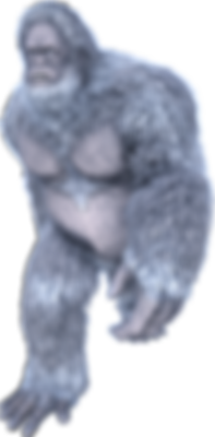 Yeti