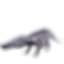 Kapro
