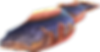 Electrophorus