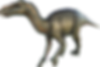 Iguanodon