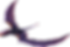 Dimorfodonte