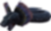 Titanoboa