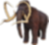 Mamute