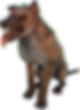 Hyaenodon