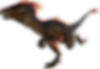 Raptor