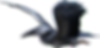 Ichthyornis