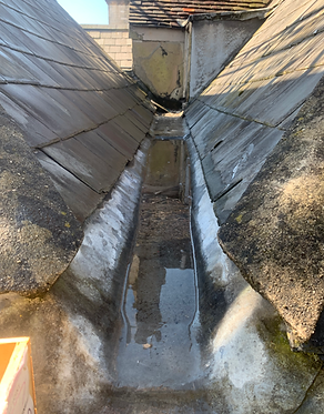 Gully Inspection