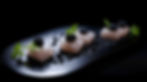 Caviar__Siberian_Sturgeon_first_screen (1) (1).jpg