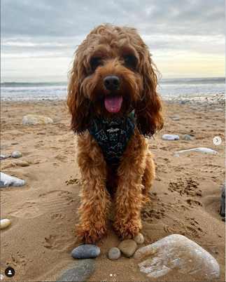 Screenshot 2022-01-30 at 9.49.20 pm.png