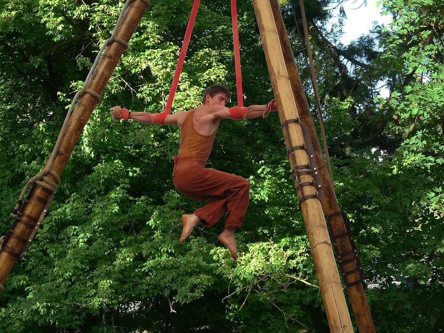 Partitions Bambous HDjour photo B_Krief_.jpg.webp
