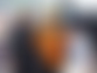 Norris takes Interlagos Pole, Verstappen out in Q2