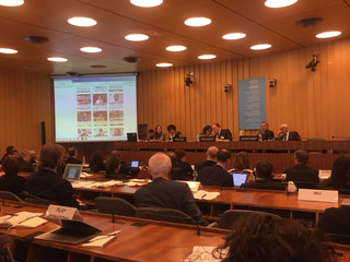 The TF features in UNESCO's CIGEPS Meeting in Paris