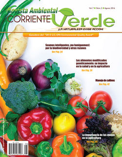 PORTADA20