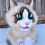 Thumbnail: Rag Doll Kitty
