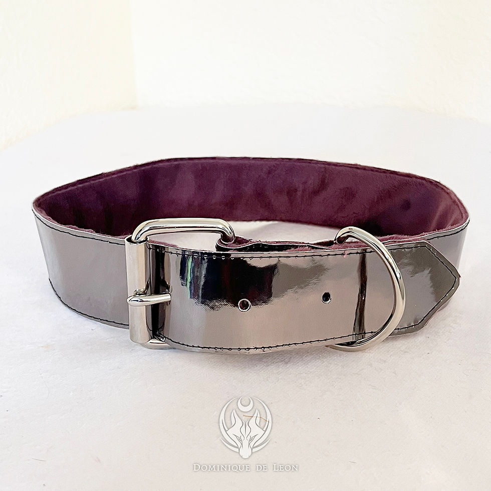 Thumbnail: Metallic Silver Collar