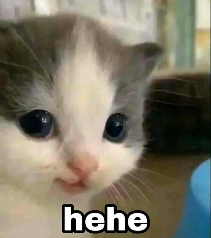 fetchimage.webp