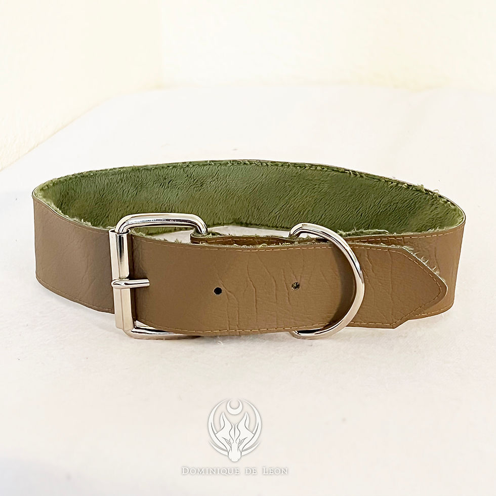 Thumbnail: Brown Collar