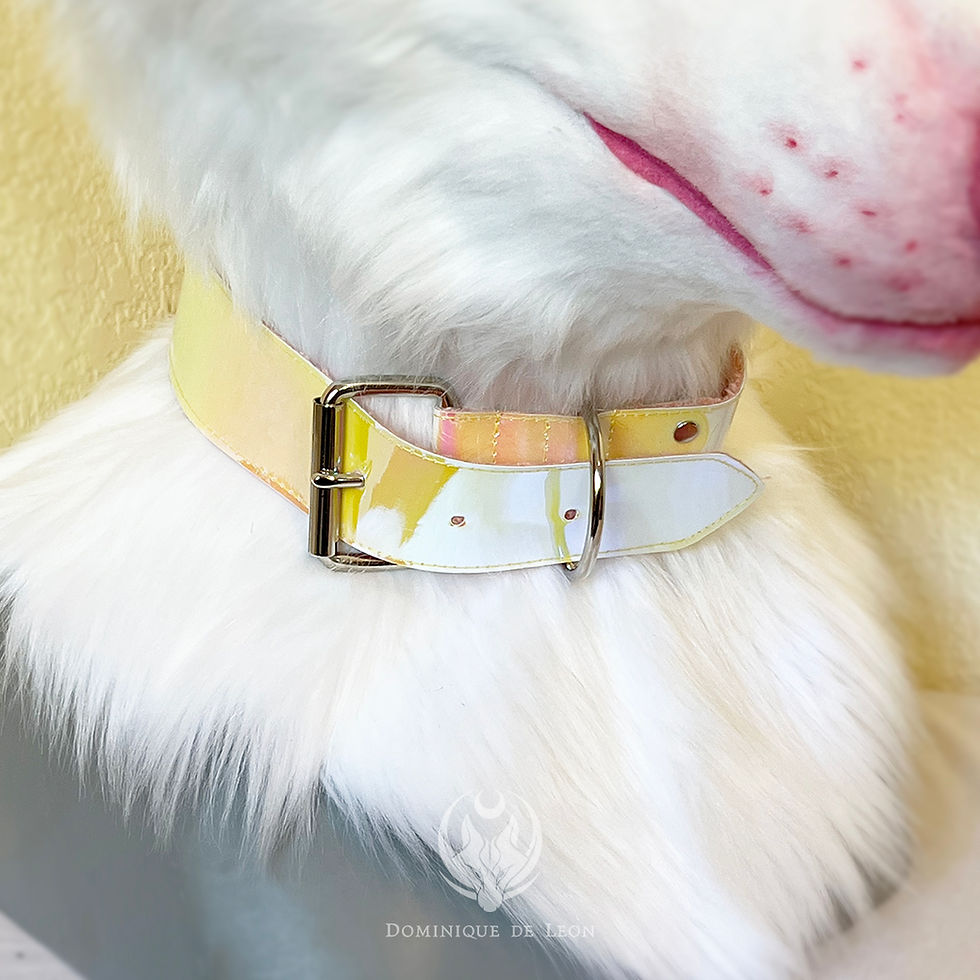 Thumbnail: Holographic Collar