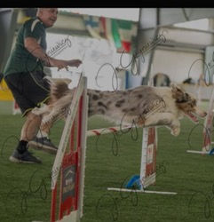 GCR Bugatti Soaring in Advanced Agility!