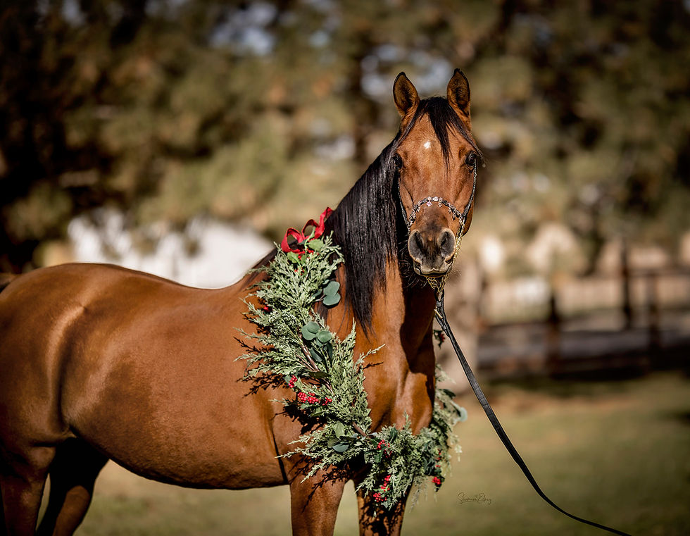 6R9A1372_ExquisiteMajik_Holiday_Sig_Web.jpg