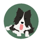 GCRBC_BorderCollieIcon copy.png