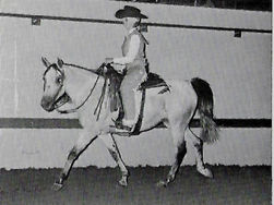 Tailormade Bonanza 1967 Yearbook.jpeg