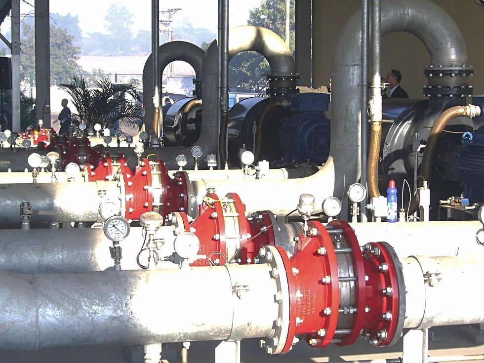 Biogas installatie RJ