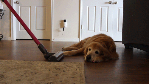 song-vacuum_done.gif