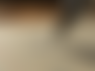 Manifiesto del Enjambre Luminoso