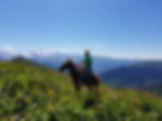 Horseback riding tour