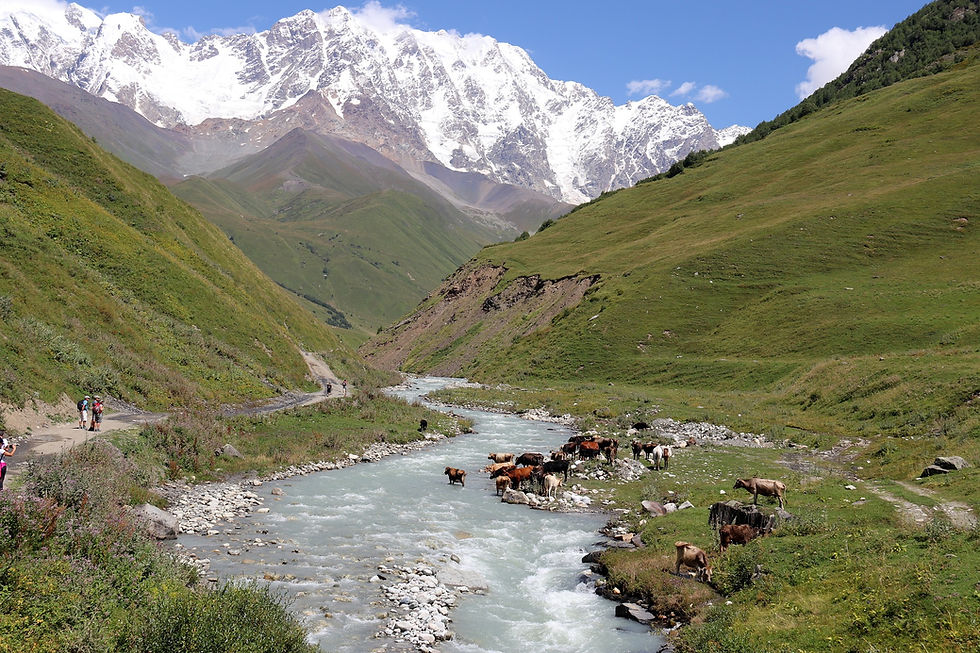 Greater Caucasus