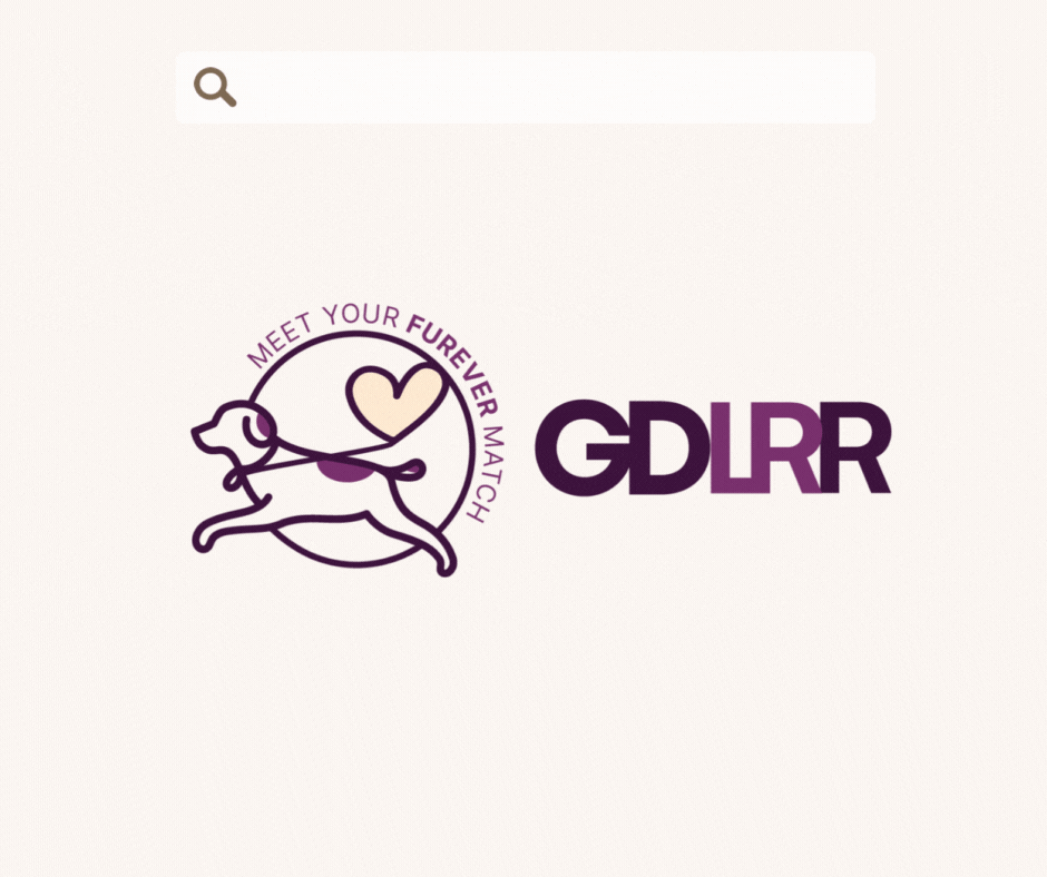 GDLRR - Brand Refresh