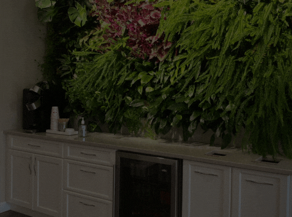 Website - Title Covers