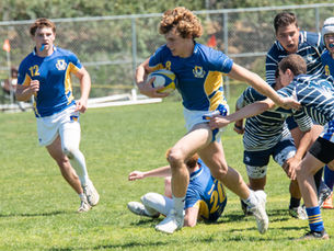Why rugby?