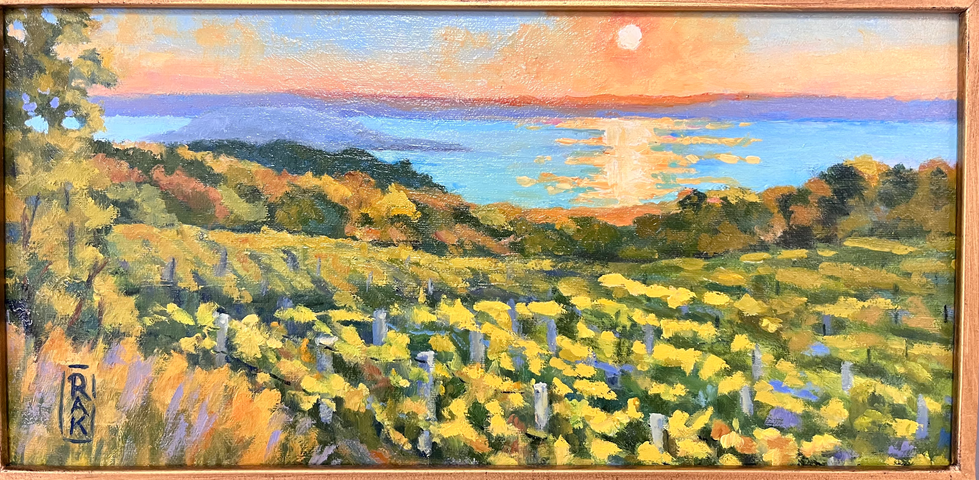 View from the Vineyards