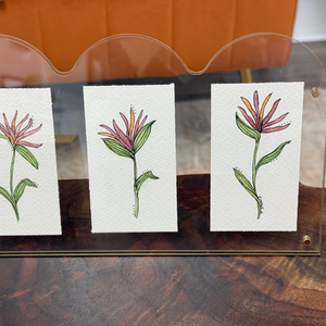 Original Watercolors in Acrylic Frame