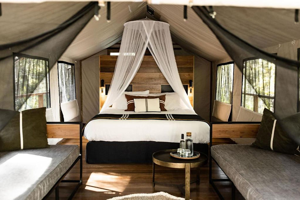 Paperbark Inside.jpg