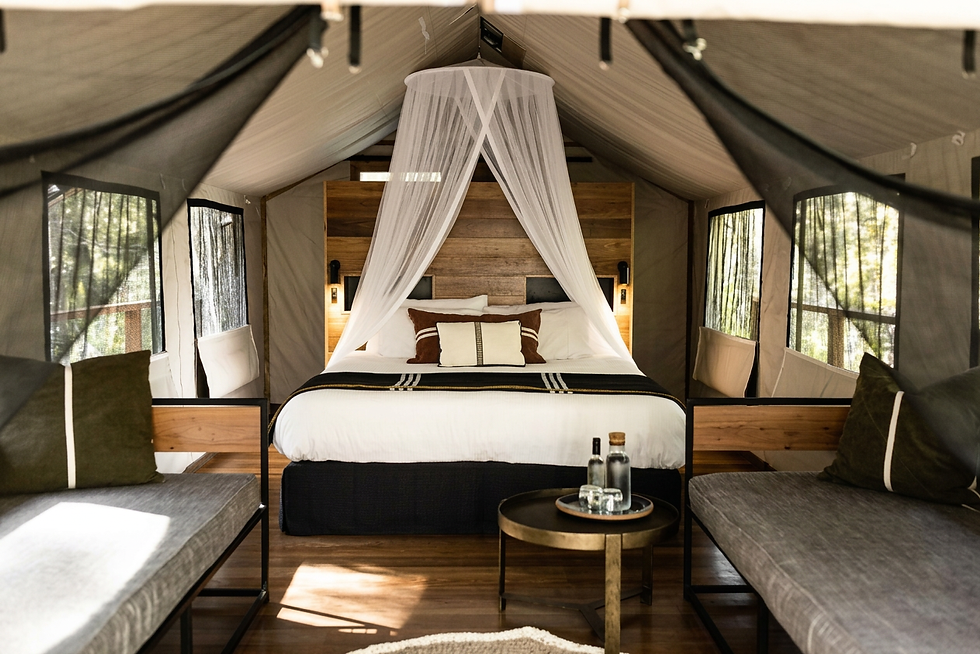 Paperbark Inside.jpg