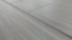 membrane groove.jpg