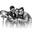 Writer: The Cuddle Squad