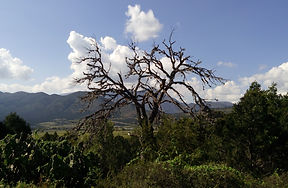 Jamé, Arteaga, Coah.