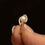 Thumbnail: Cultured Pearl Swirl Ring with Diamond Accents | Vintage 10k Setting | Size 5.25