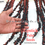 Thumbnail: Red Sealing Wax Palm, Lipstick Palm seeds wholesale 500g (Cyrtostachys renda)