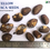 Miniaturbild: Yellow saraca, yellow ashoka  (Saraca thaipingensis) rara seeds , 100% FRESH