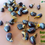 Thumbnail: Membrillo (Gustavia augusta) Heaven Lotus Fresh Seeds