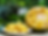 Jack fruit seeds "Artocarpus heterophyllus" 100% fresh organic seeds