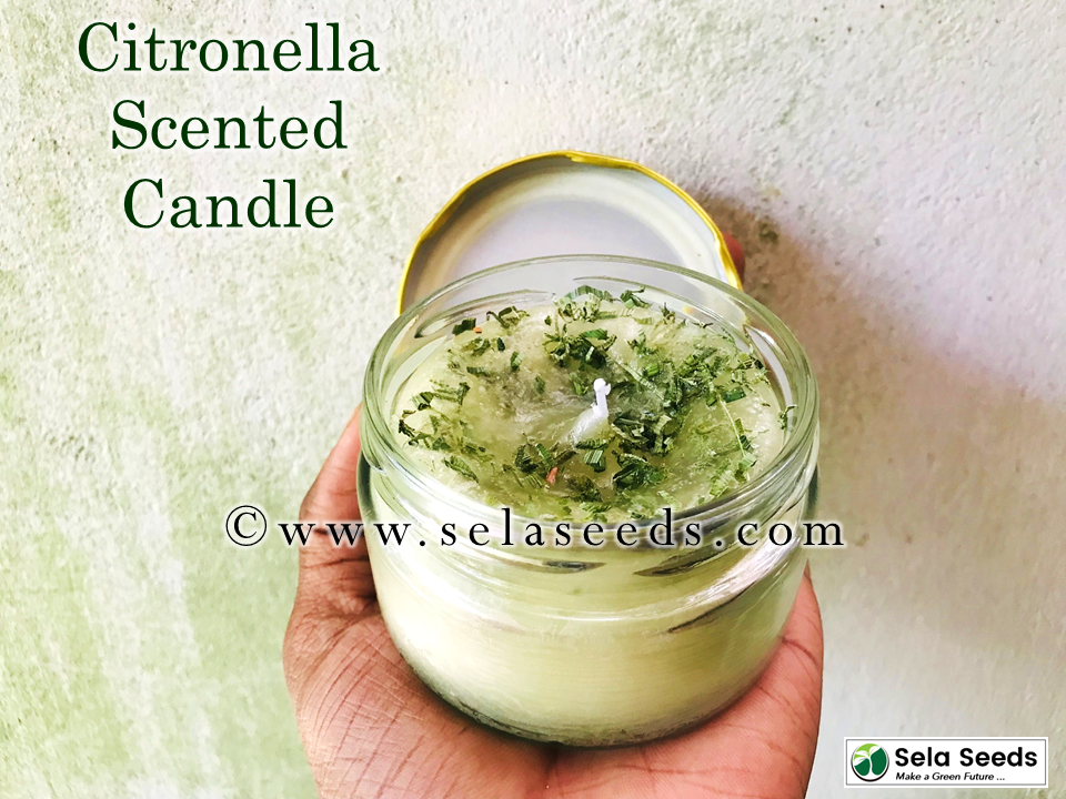 Thumbnail: Citronella Natural Mosquito Repellent Candle,  24 Hour Burn